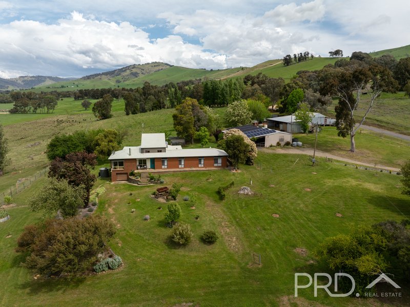 Photo - 777 West Gilmore Road, Gilmore NSW 2720 - Image 22