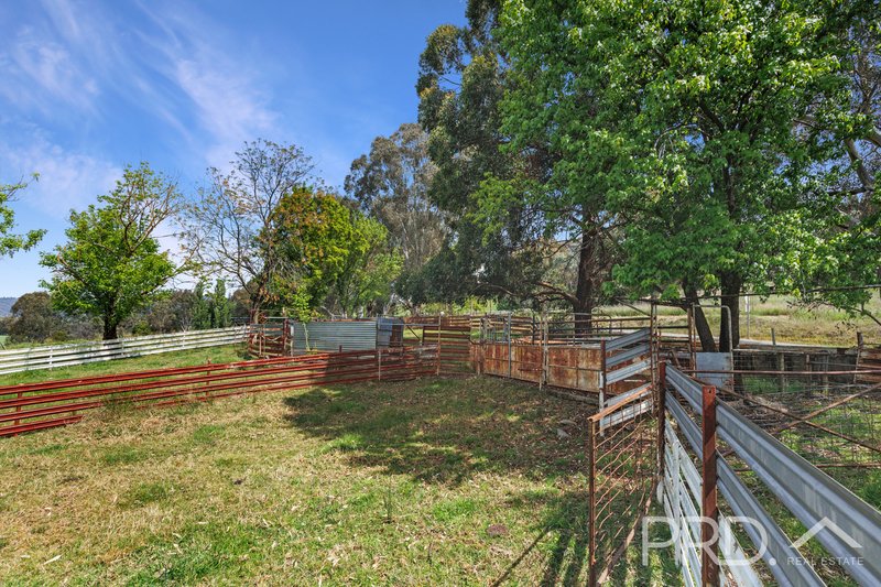 Photo - 777 West Gilmore Road, Gilmore NSW 2720 - Image 29