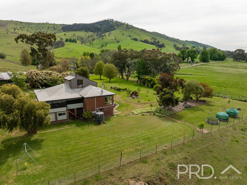 Photo - 777 West Gilmore Road, Gilmore NSW 2720 - Image 32