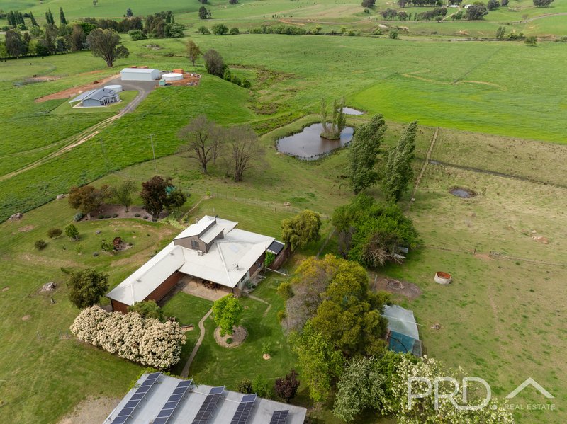 Photo - 777 West Gilmore Road, Gilmore NSW 2720 - Image 33