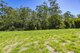 Photo - 779 Cooloolabin Rd , Cooloolabin QLD 4560 - Image 16