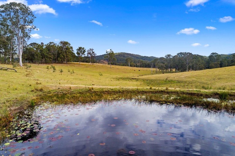 Photo - 78-100 Cedar Creek Road, Belli Park QLD 4562 - Image 2