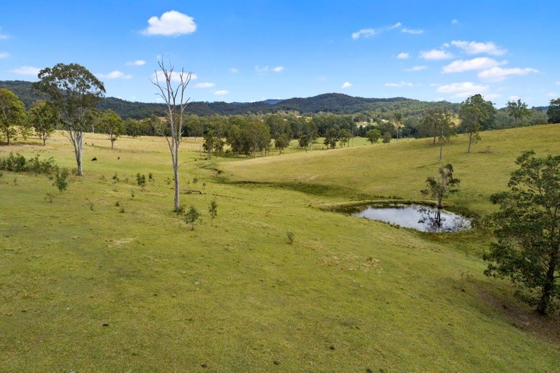 Photo - 78-100 Cedar Creek Road, Belli Park QLD 4562 - Image 8