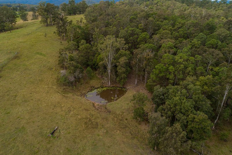 Photo - 78-100 Cedar Creek Road, Belli Park QLD 4562 - Image 12