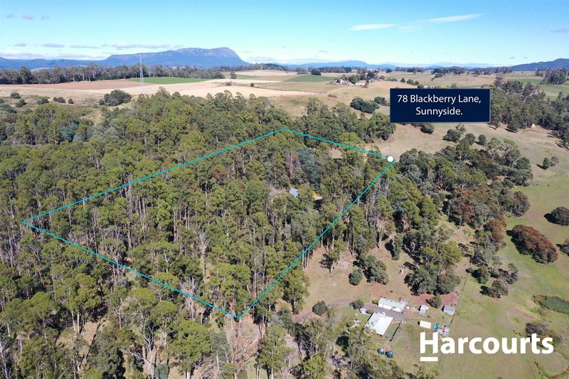 Photo - 78 Blackberry Lane, , Sunnyside TAS 7305 - Image 18