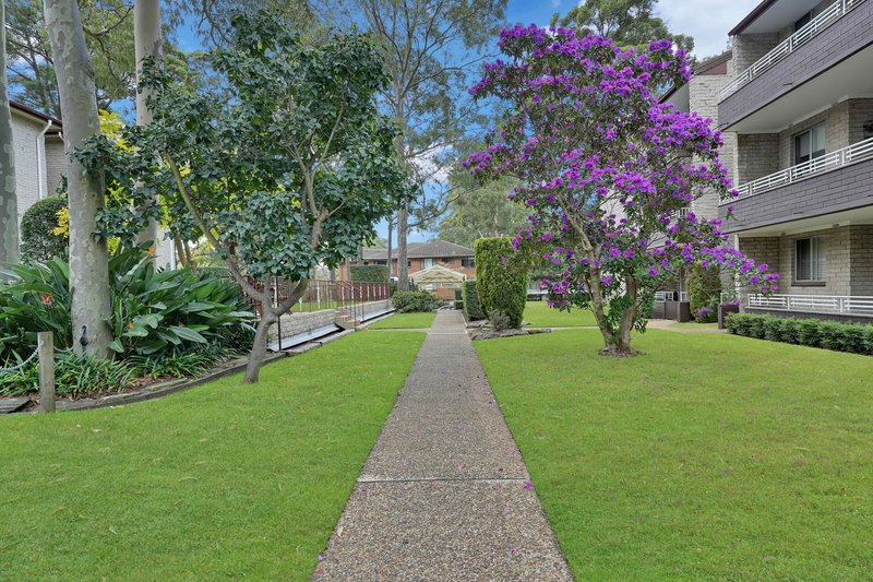 Photo - 7/8 Buller Road, Artarmon NSW 2064 - Image 9