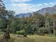 Photo - 78 Cethana Road, Cethana TAS 7306 - Image 18