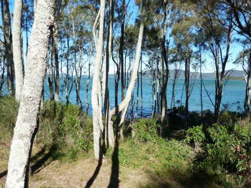 Photo - 78 Coomba Road, Bennetts Head NSW 2428 - Image 3