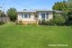 Photo - 78 Curdievale Road, Timboon VIC 3268 - Image 2
