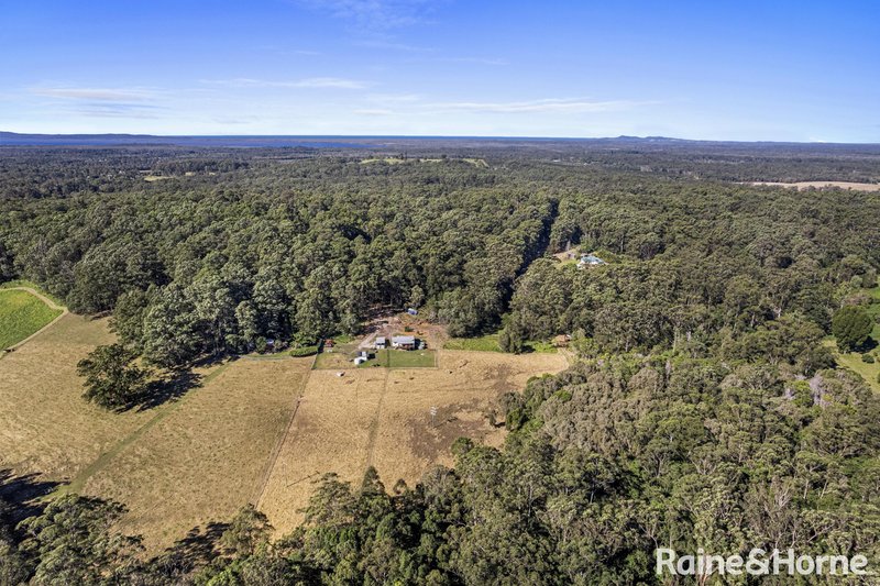 Photo - 78 Davis Road, Cootharaba QLD 4565 - Image 19