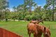 Photo - 78 Garfield Road, Karawatha QLD 4117 - Image 31