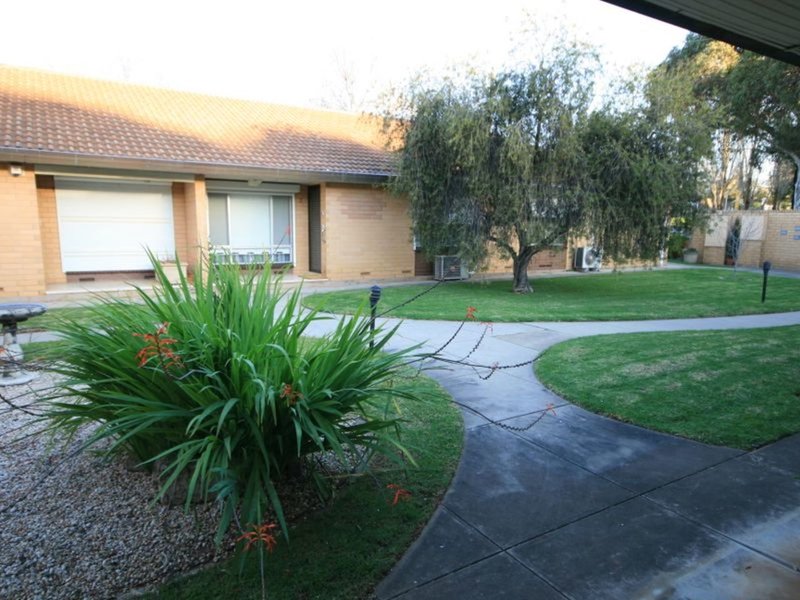 Photo - 78 Gladstone Avenue, Prospect SA 5082 - Image 4