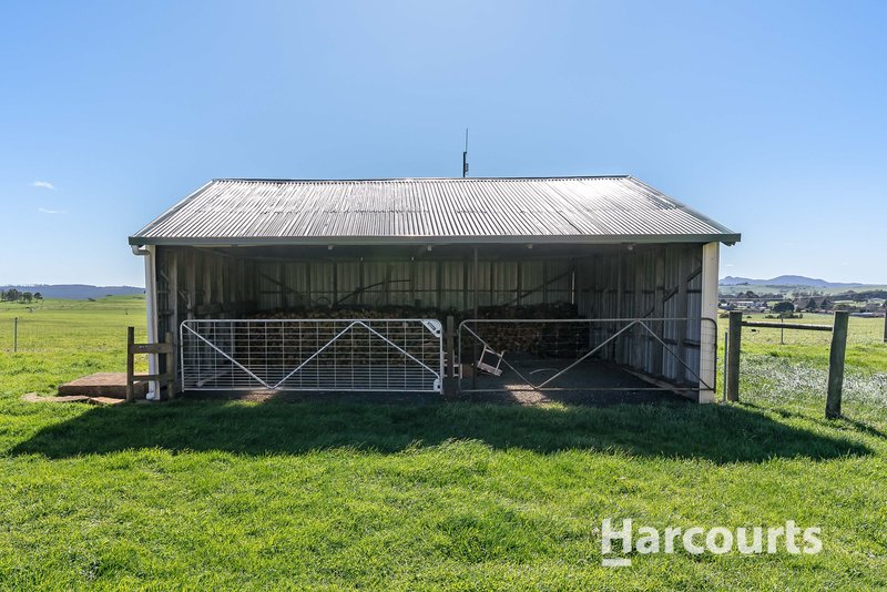 Photo - 78 Hardmans Lane, Winnaleah TAS 7265 - Image 30