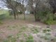 Photo - 78 (Lot 124) Ti-Tree Road, The Pines SA 5575 - Image 3