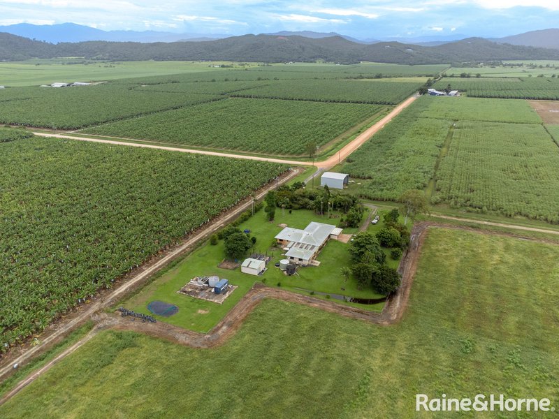 Photo - 78 Marwick Road, Cowley QLD 4871 - Image 17