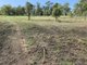 Photo - 78 Staatz Quarry Rd , Regency Downs QLD 4341 - Image 3