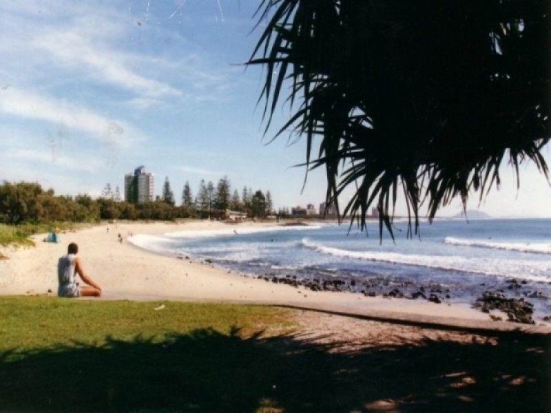 Photo - 7/8 Victor Steet , Alexandra Headland QLD 4572 - Image 10