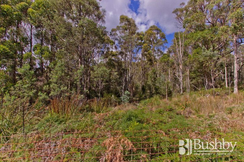 Photo - 780 Lilydale Road, Underwood TAS 7268 - Image 14