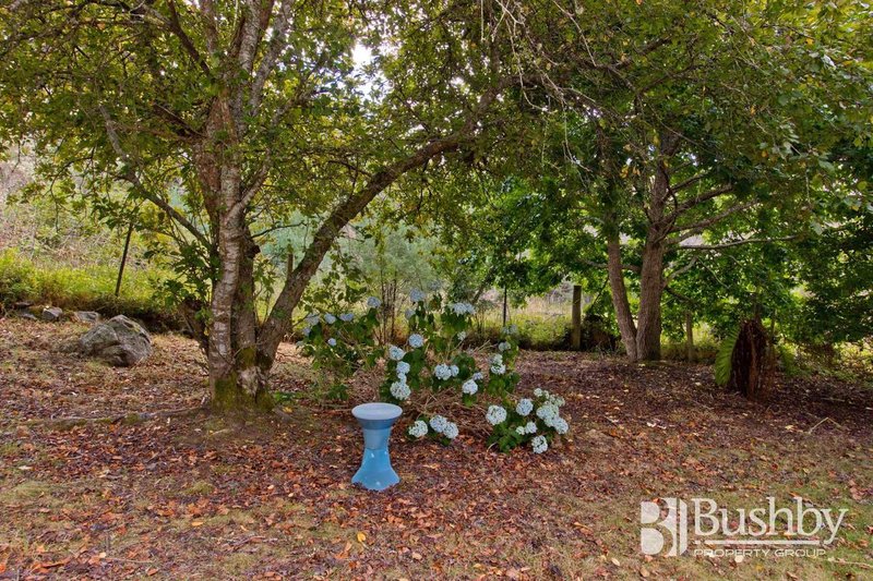 Photo - 780 Lilydale Road, Underwood TAS 7268 - Image 15