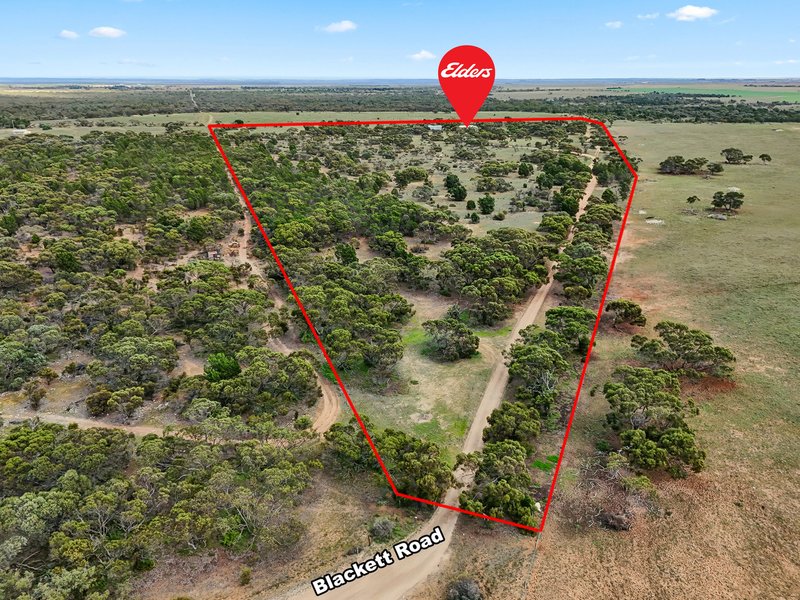 Photo - 781 Blackett Road, Tailem Bend SA 5260 - Image 29