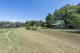 Photo - 782 Clarence Way, Whiteman Creek NSW 2460 - Image 4