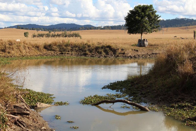 Photo - 7837 Brisbane Valley Highway, Braemore QLD 4313 - Image 14