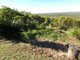 Photo - 784 Matchbox Road, Deepwater QLD 4674 - Image 16