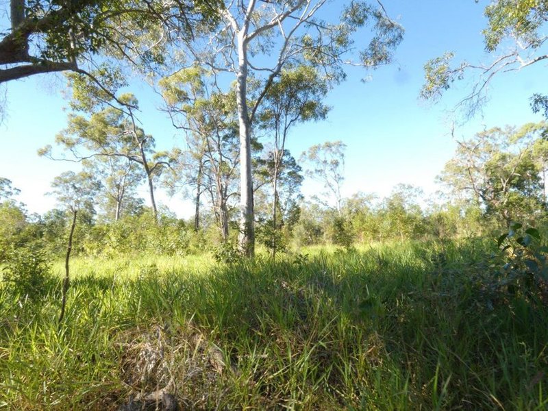 Photo - 784 Matchbox Road, Deepwater QLD 4674 - Image 26