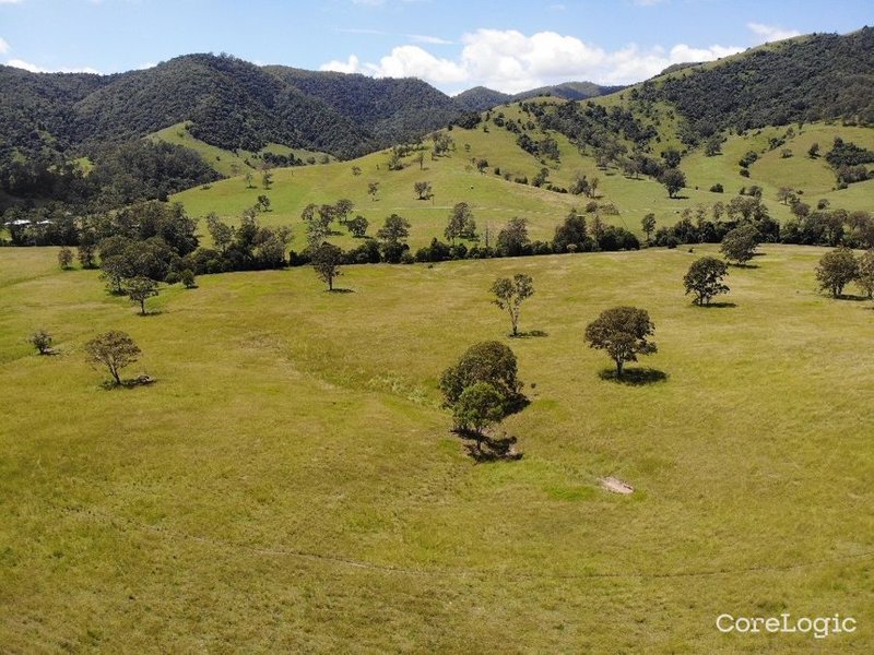 Photo - 785 Toms Creek Road, Ellenborough NSW 2446 - Image 22