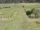 Photo - 785 Toms Creek Road, Ellenborough NSW 2446 - Image 23