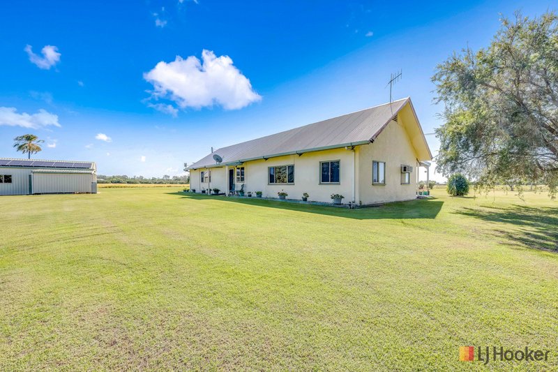 Photo - 786 Gooburrum Road, Welcome Creek QLD 4670 - Image 19