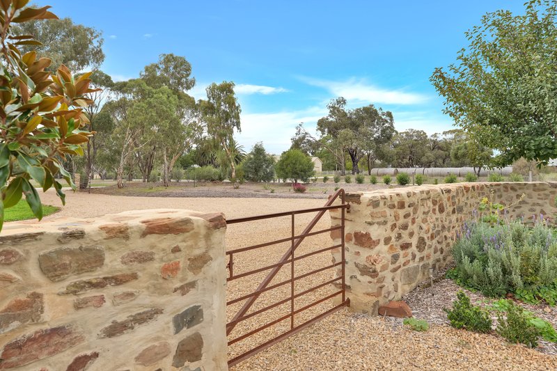 Photo - 787 Lindsay Park Road, Moculta SA 5353 - Image 15