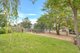 Photo - 787 Lindsay Park Road, Moculta SA 5353 - Image 18