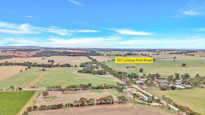 Photo - 787 Lindsay Park Road, Moculta SA 5353 - Image 33