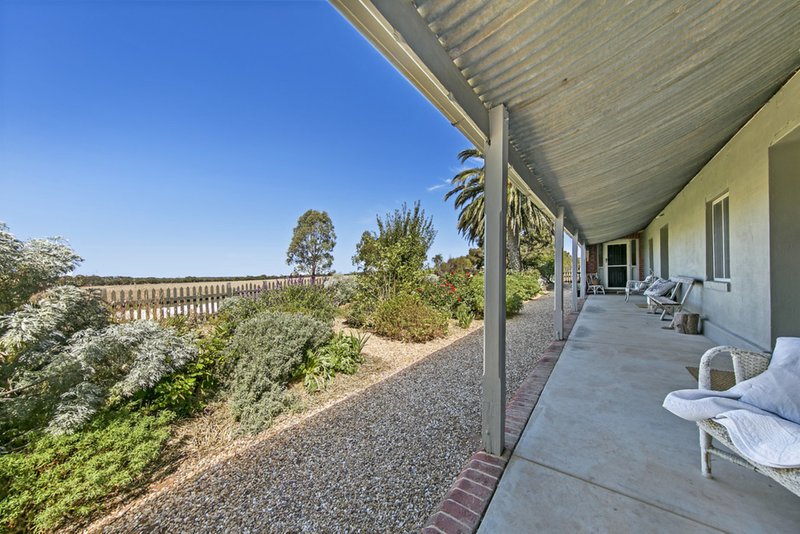 Photo - 787 Lindsay Park Road Via Angaston Road, Moculta SA 5353 - Image 6