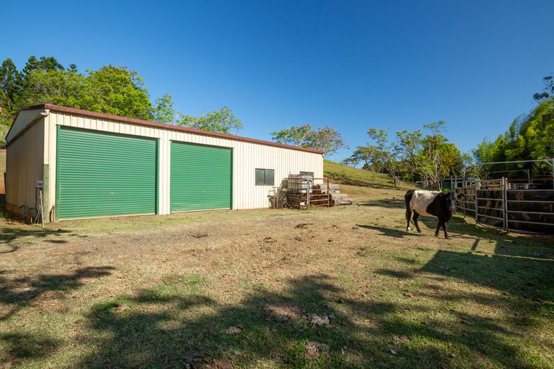 788 Millaa Millaa Malanda Road, Minbun QLD 4886