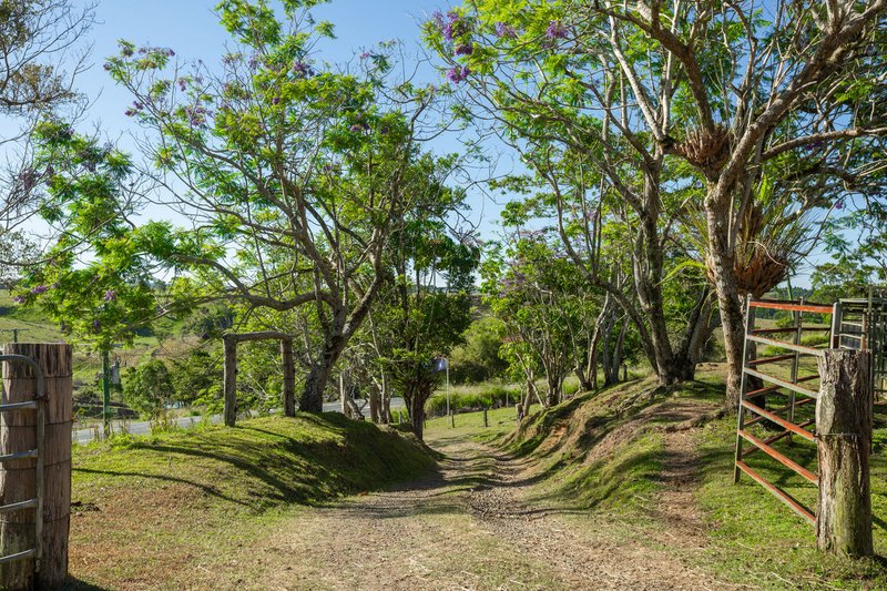 Photo - 788 Millaa Millaa Malanda Road, Minbun QLD 4886 - Image 3