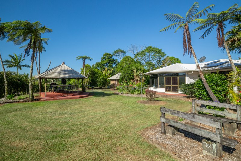 Photo - 788 Millaa Millaa Malanda Road, Minbun QLD 4886 - Image 14