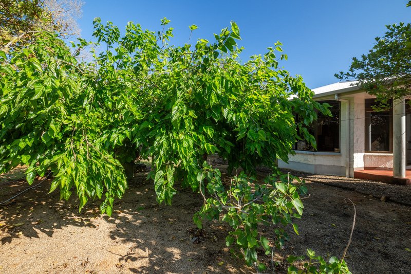 Photo - 788 Millaa Millaa Malanda Road, Minbun QLD 4886 - Image 17