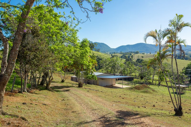 Photo - 788 Millaa Millaa Malanda Road, Minbun QLD 4886 - Image 20