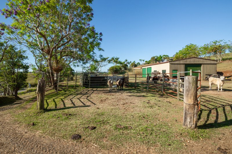 Photo - 788 Millaa Millaa Malanda Road, Minbun QLD 4886 - Image 24