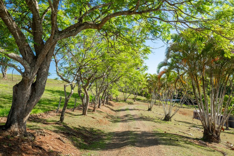 Photo - 788 Millaa Millaa Malanda Road, Minbun QLD 4886 - Image 25