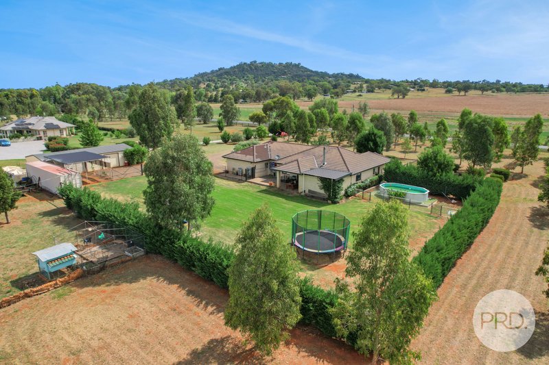 Photo - 788 Moore Creek Road, Tamworth NSW 2340 - Image 35