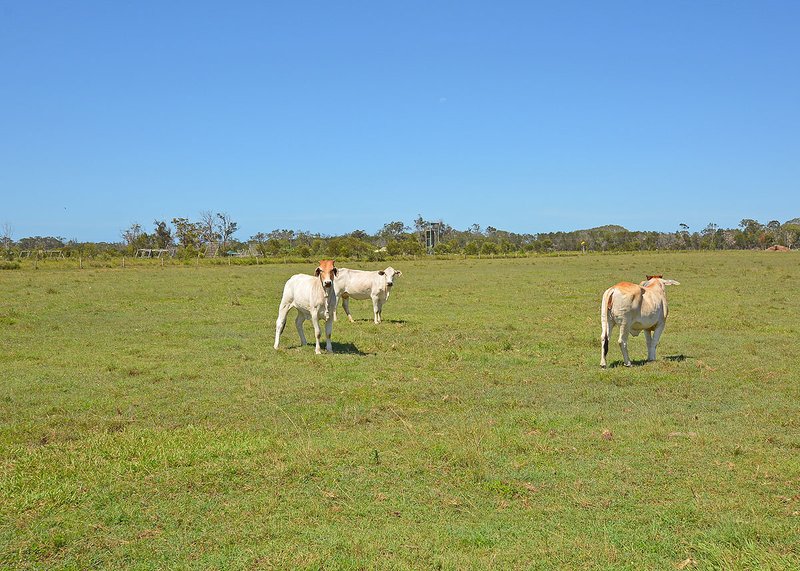 Photo - 789 Burrum Heads Road, Burrum River QLD 4659 - Image 23