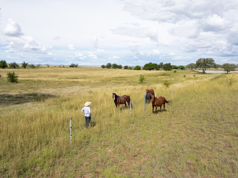 Photo - 79 Barlow Road, Greenmount QLD 4359 - Image 6