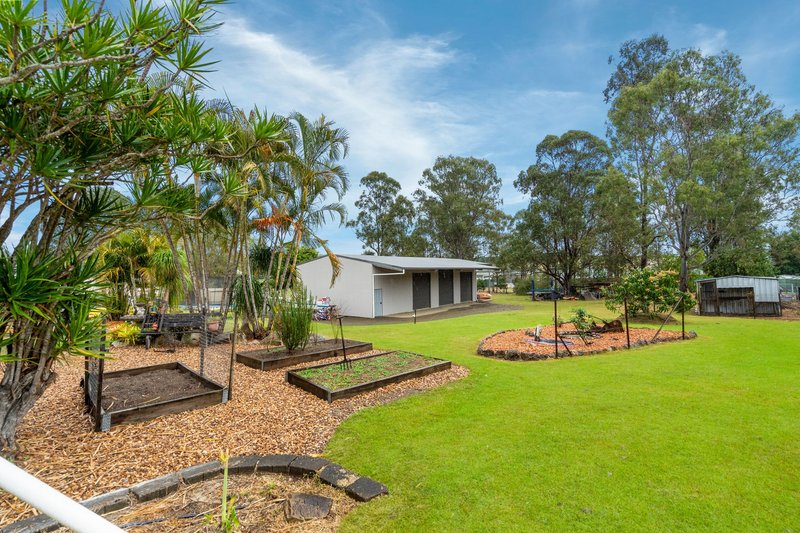 Photo - 79 Burns Street, Fernvale QLD 4306 - Image 15