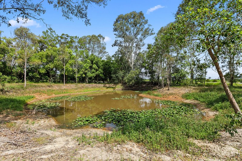 Photo - 79 Chapel Road, Nikenbah QLD 4655 - Image 4