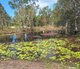 Photo - 79 Condor Drive, Sunshine Acres QLD 4655 - Image 21