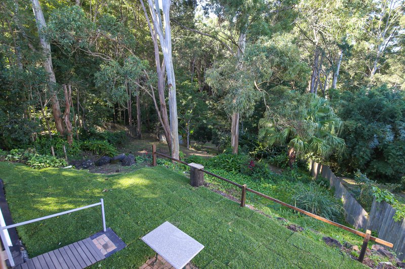 Photo - 79 Dixon Road, Buderim QLD 4556 - Image 11