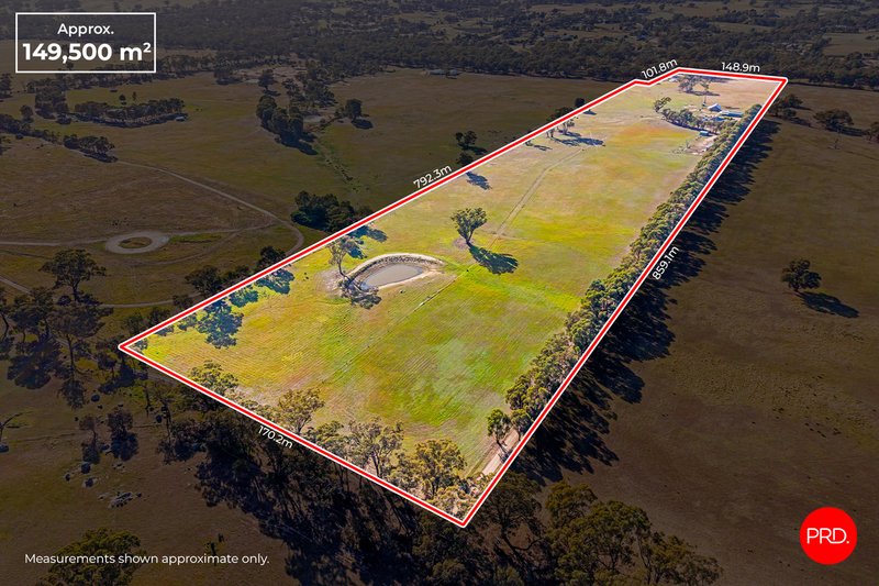 Photo - 79 Ellison Road, Shelbourne VIC 3515 - Image 20